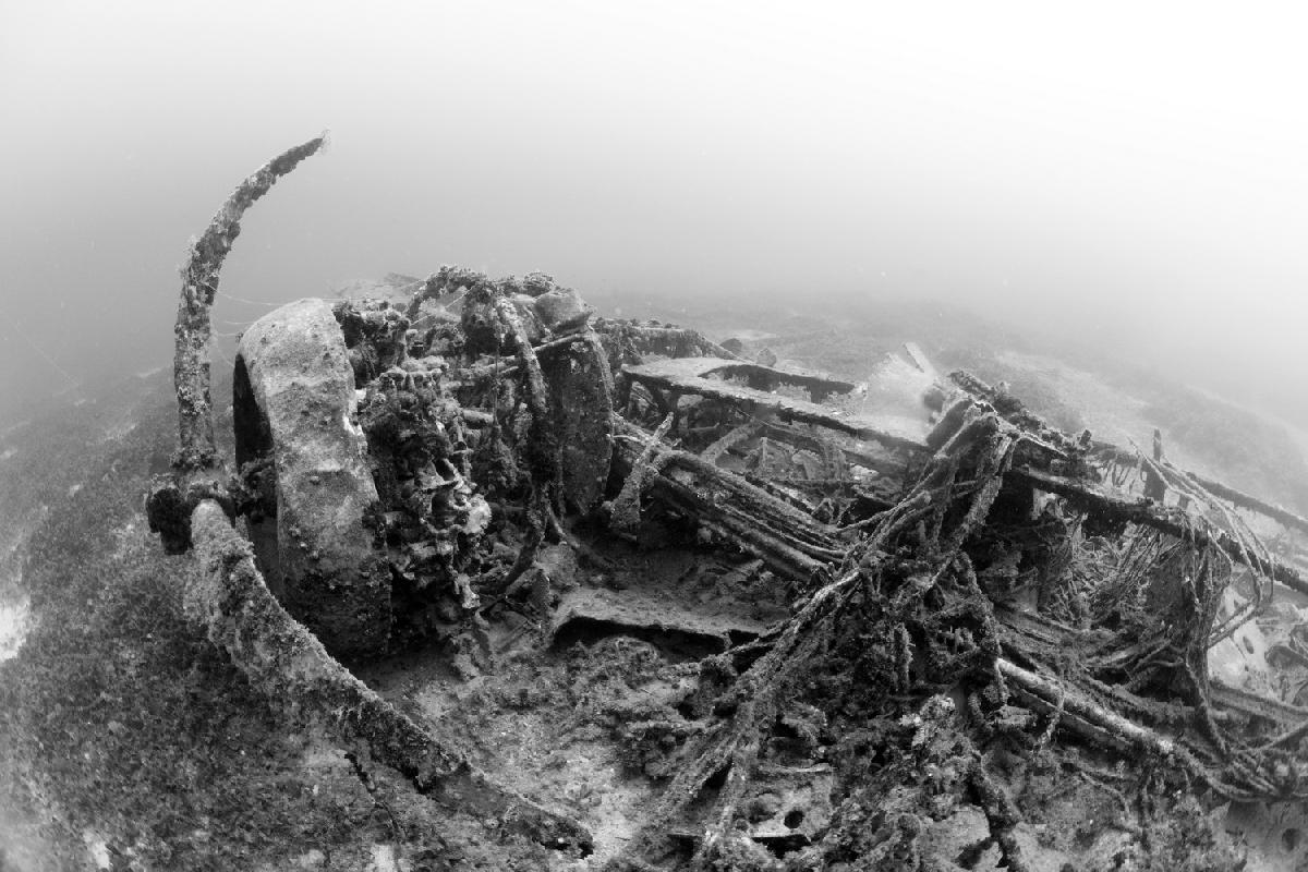 blennheim bomber