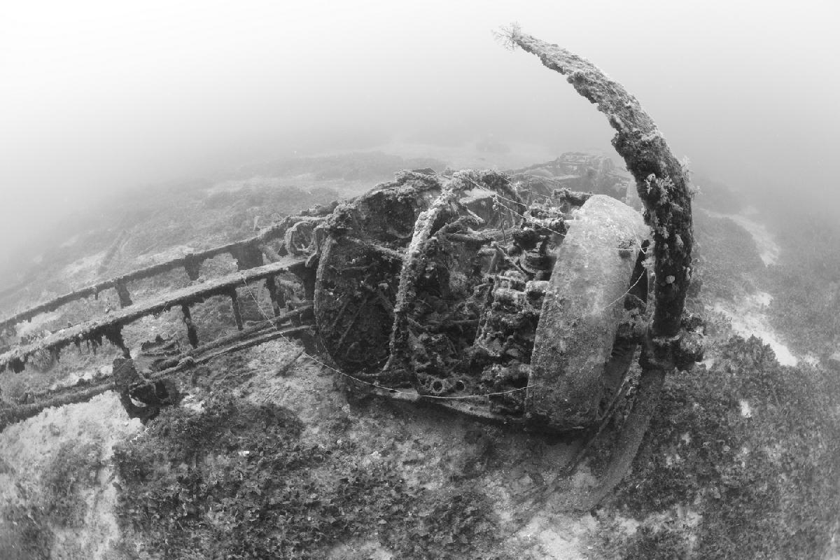 blennheim bomber