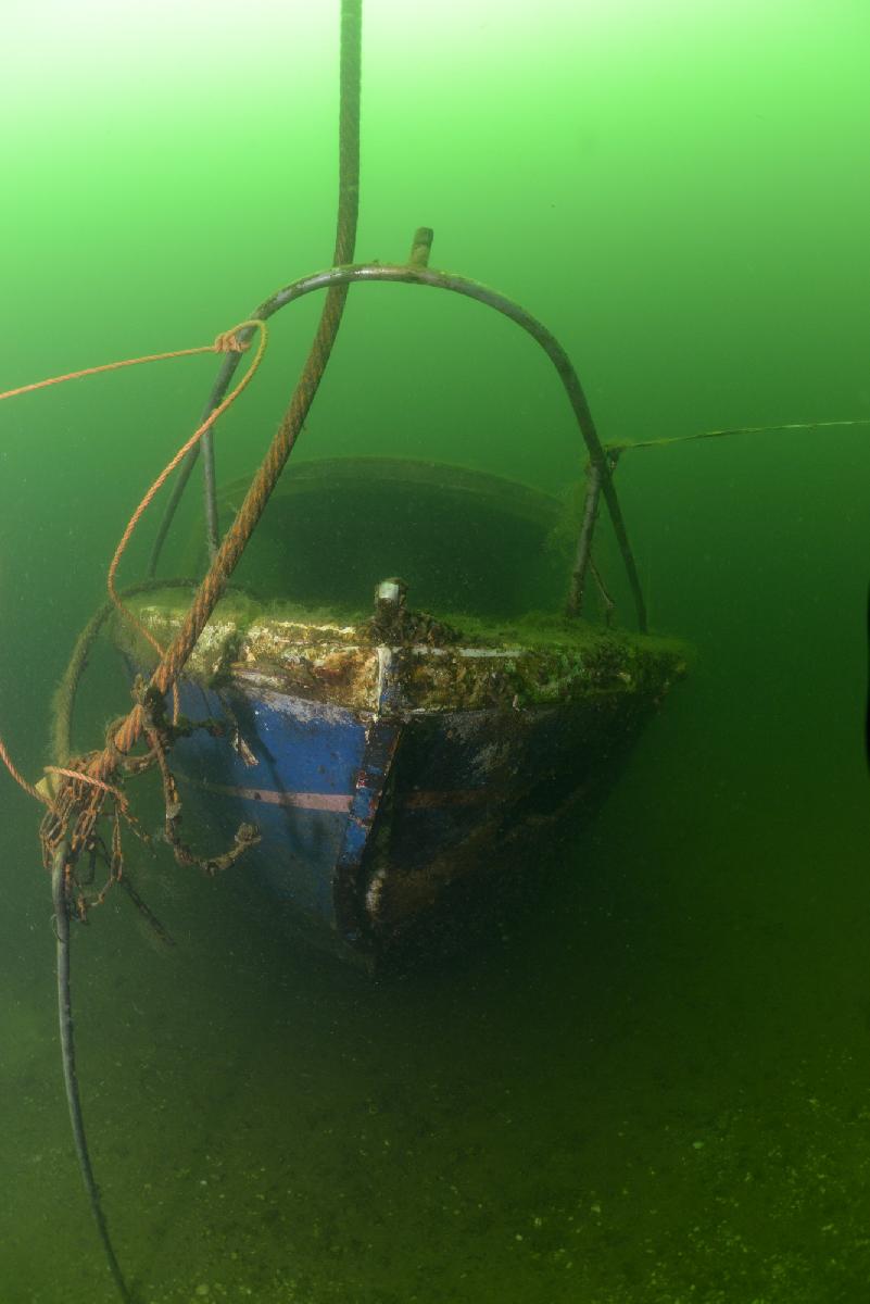 Blauwe wrakje in de groene heuvels