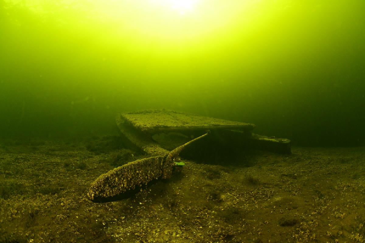 Catamaran wrak in Vinkeveen