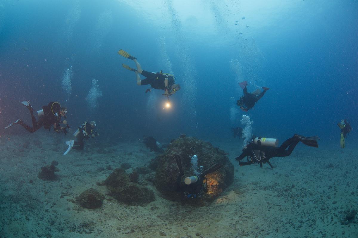 duikers rond een rots met een frogfish