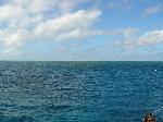 Bait Reef as seen from the boat