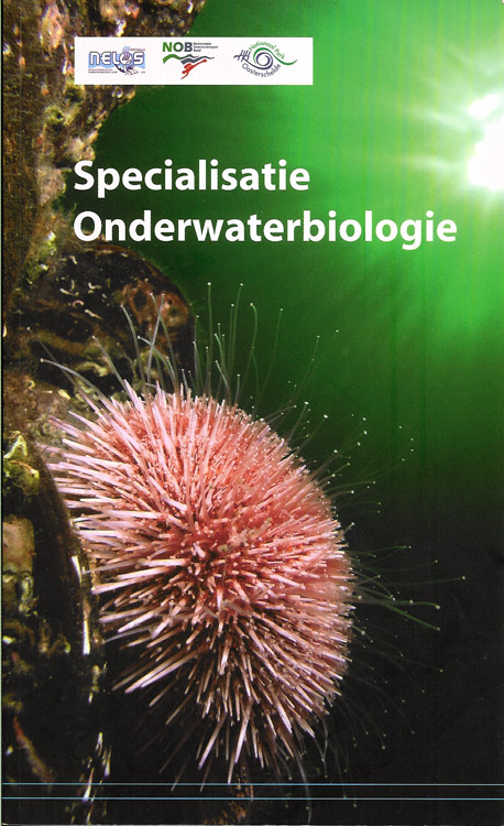 Specialisatie Onderwaterbiologie