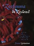 Zeefauna in Zeeland deel 1 - Rob Leeuwis, Dominique Willemse, Petra Sloof-Spijker, Chiel  - 9080637041