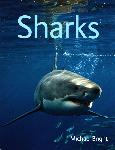 Sharks - Michael Bright - 9781554079889