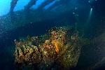 Bulldozer in het ruim van de Hoki Maru