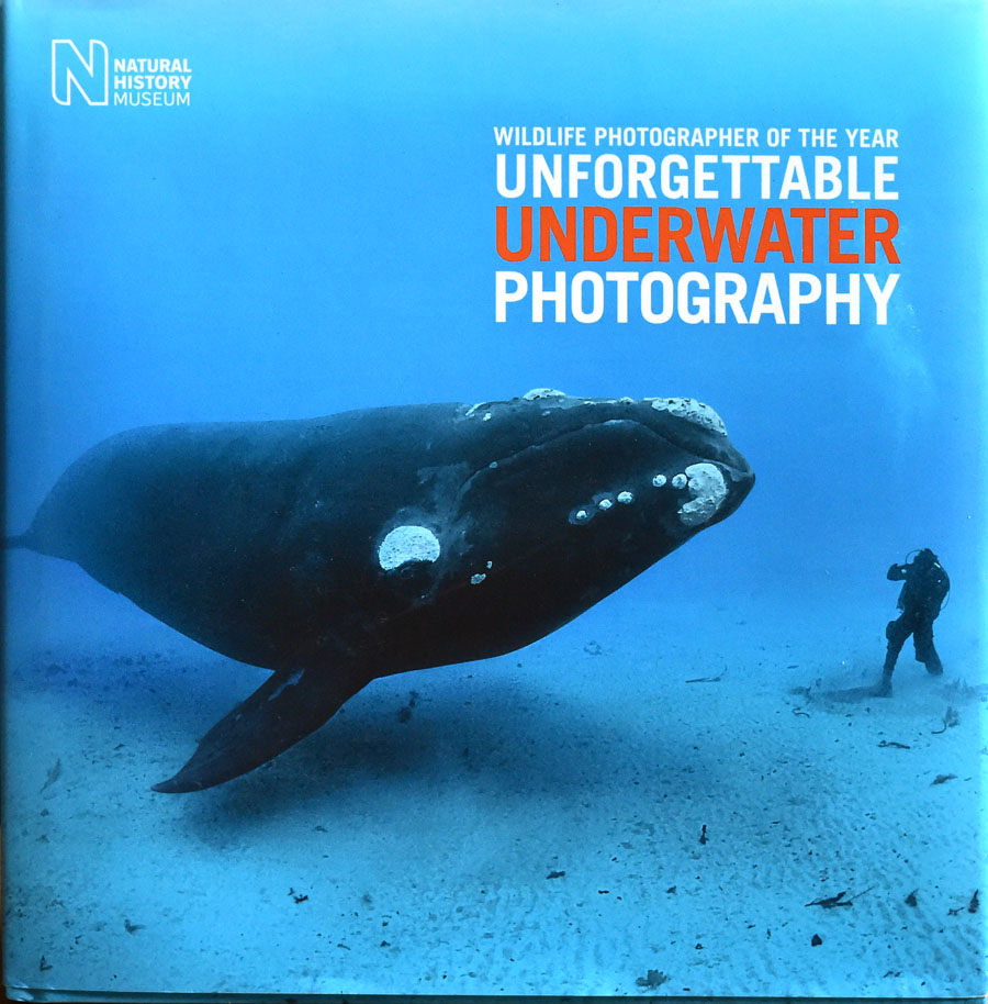 Wildlife Photographer of the Year: Unforgettable Underwater Photography